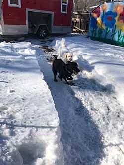 Opal gets a brother!