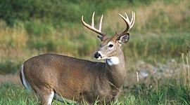 Timeline: Wisconsin Conservation Deer and Elk Committee Meeting Minutes (For Education Purposes Only)
