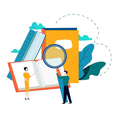 Organización del Programa