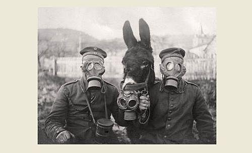 (12) First use of chemical weapons at the Battle of Ypres