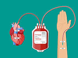 Transfusion