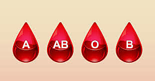 Karl Landsteiner discovered three blood types: A,B,O