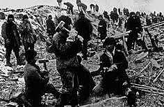 The great purge Starts