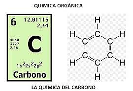Após o êxito desta experiência vários cientistas voltaram ao laboratório para obter outras substâncias orgânicas e verificaram que o elemento fundamental era o carbono.