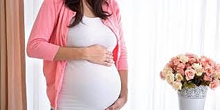 Embarazo de Julia Villamil