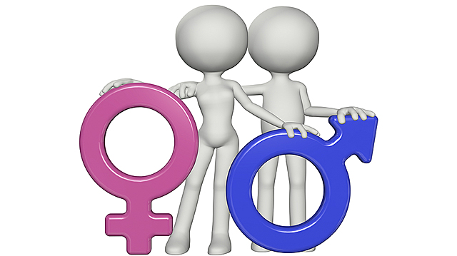 2003, EQUIDAD DE GENERO