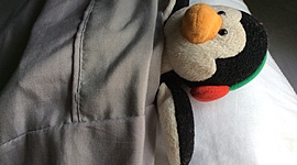 Timeline: Life of Jorge