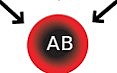 AB