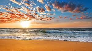 Mario Casasola - Hace 1 mes