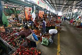 El hombre del traje color castaño - 8:00h