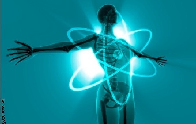 Teoria da Força Vital