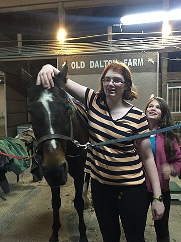 My Favorite Horse of All Time