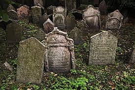 Muere hermano de Kolvenick