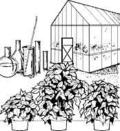 Óscar y Marina deciden investigar todo acerca de Kolvenik, Barcelona