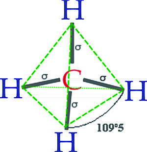 Estrutura do carbono
