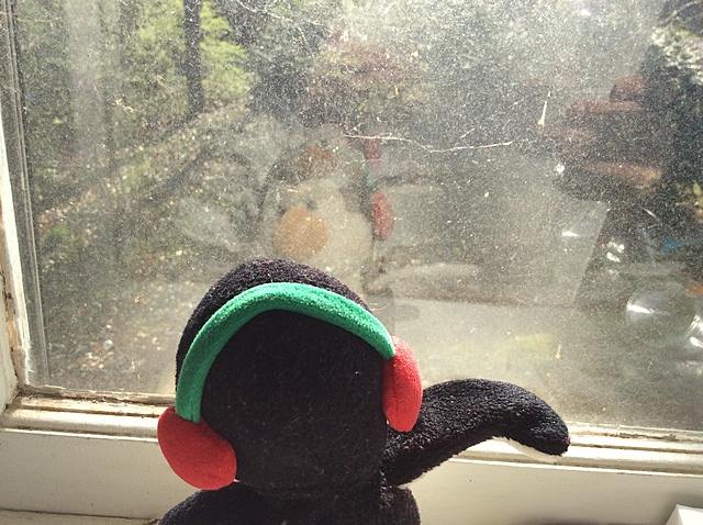 Jorge going to Africa