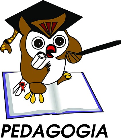 Campo Conceptual de la Pedagogía