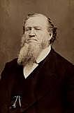 Brigham young as government