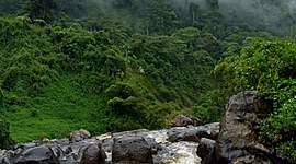 Timeline: 24 años de manuel gutierrez