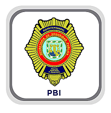 Nuevo Reglamento para la policía Preventiva