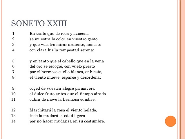 Soneto XXIII