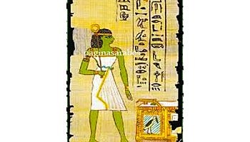 MEDICINA TRADICIONAL CHINA