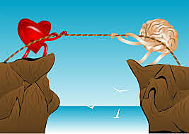 4.3 Adult Attachment Style