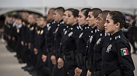 Timeline: EVOLUCIÓN DE LA SEGURIDAD PÚBLICA