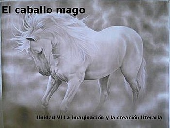 Mi caballo Mago