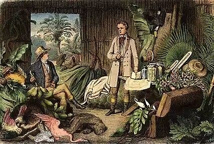 J.C.MUTIS. INICIO DE LA EXPEDICIÓN BOTÁNICA.