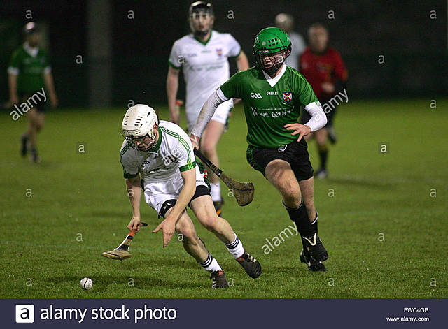 The Gaelic Athelic Associaton