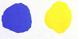 Ritornano al loro colore