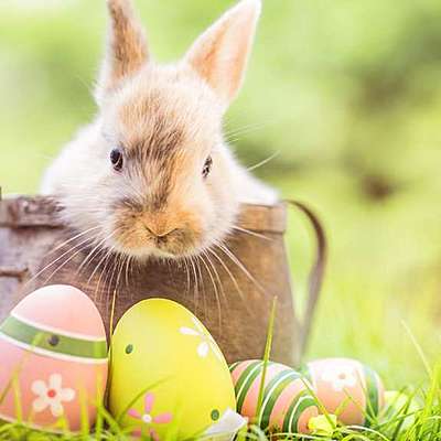 Timeline: Ostern