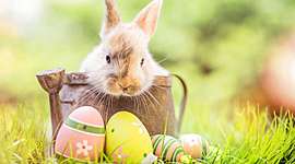 Timeline: Ostern