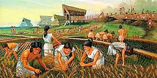 practicas agricolas en mesoamerica inicio de la sedentarizacion