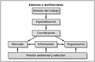 principio de division del trabajo