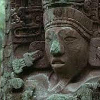 Timeline: The maya
