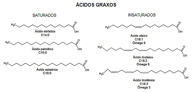 Ácidos Graxos