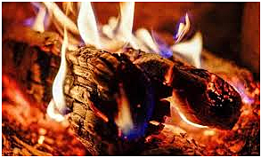 Primeira reação orgânica