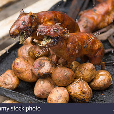 Timeline: The Inca timeline