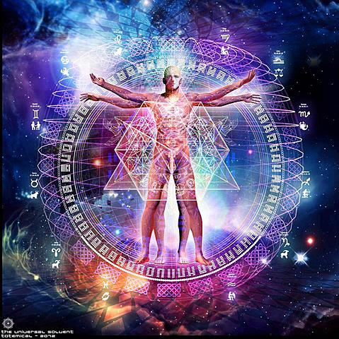 Teoria da Força Vital