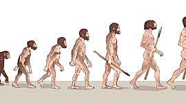 Timeline: LA EVOLUCIÓN DEL DESARROLLO HUMANO DESDE LA ANTIGÜEDAD HASTA LA ÉPOCA ACTUAL