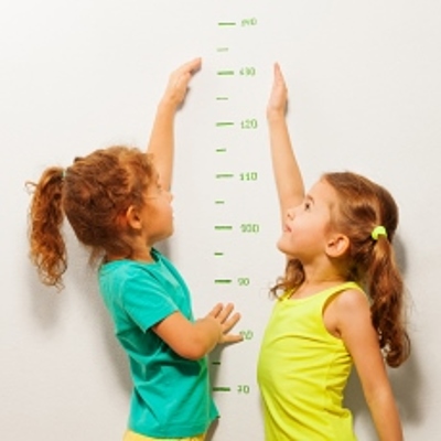 Timeline: Etapas de desarrollo