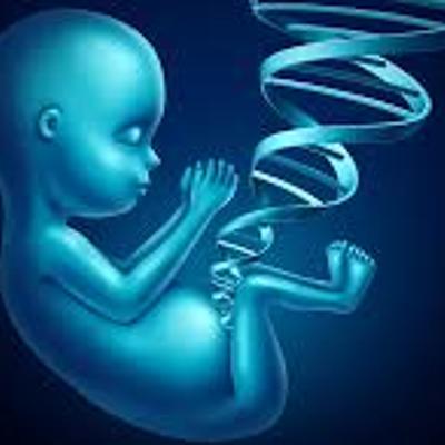 Timeline: avance de la genética