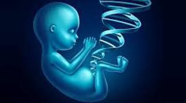 Timeline: avance de la genética