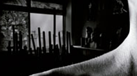 Timeline: El crisol de lo prohibido y una mujer que desaparece