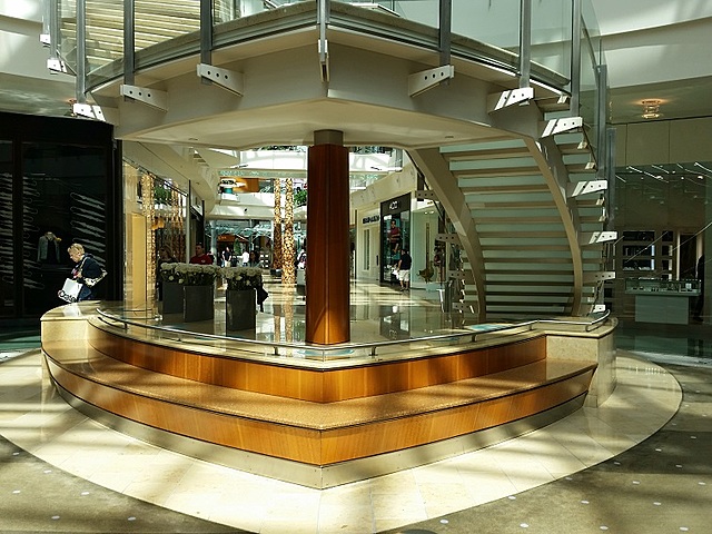 CRECIMIENTO DE FRONDELLA