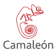 CAMALEÓN - Grupo de Investigación