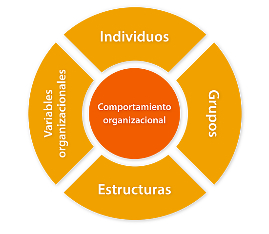 La aparición de la Teoría del comportamiento