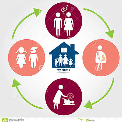 Timeline: Ciclo Vital Familiar